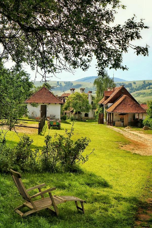 Miclosoara Count Kalnoky'S Transylvanian Guesthouses מראה חיצוני תמונה
