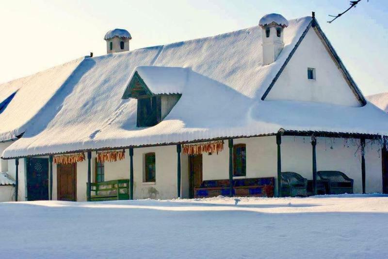 Miclosoara Count Kalnoky'S Transylvanian Guesthouses מראה חיצוני תמונה