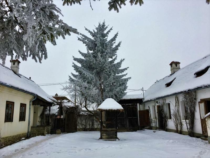 Miclosoara Count Kalnoky'S Transylvanian Guesthouses מראה חיצוני תמונה