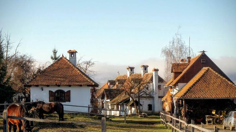 Miclosoara Count Kalnoky'S Transylvanian Guesthouses מראה חיצוני תמונה